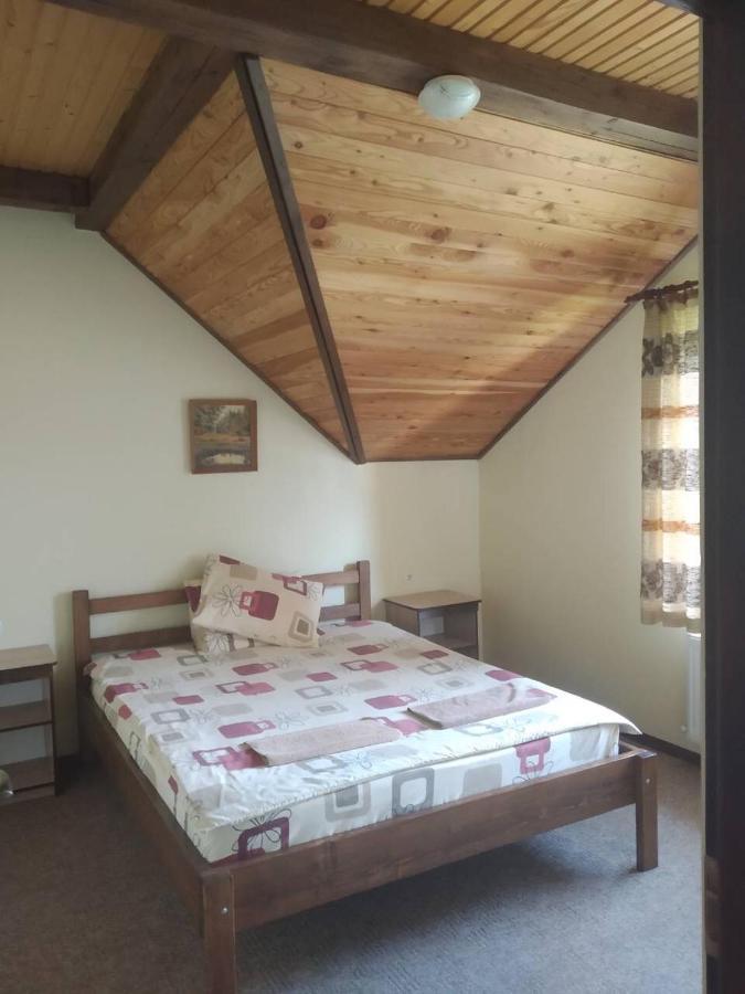 Гірська Палітра سلافسكي المظهر الخارجي الصورة
