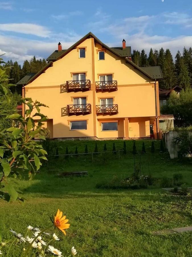 Гірська Палітра سلافسكي المظهر الخارجي الصورة